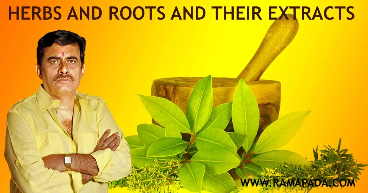 Medicinal Herbs and Roots in Astrology - Expert Remedies by Ramapada Acharjee