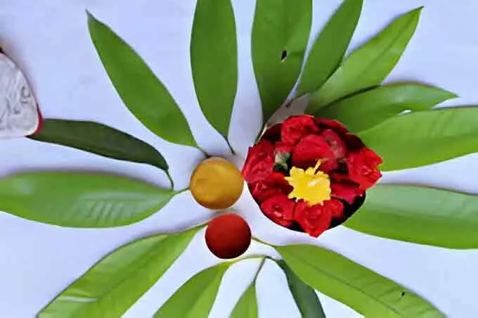 Vastu arrangement with green leaves, flowers, and sacred elements symbolizing positive energy and harmony