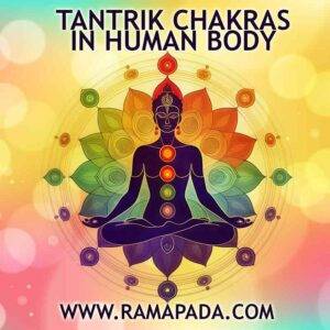 Tantrik Chakras in Human Body