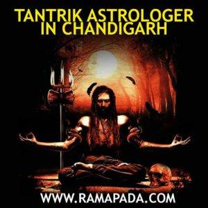 Tantrik Astrologer in Chandigarh