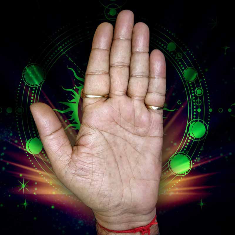 Best Palmist in India